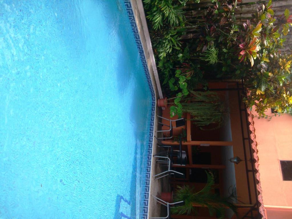 Inn On The Park Manuel Antonio Kültér fotó